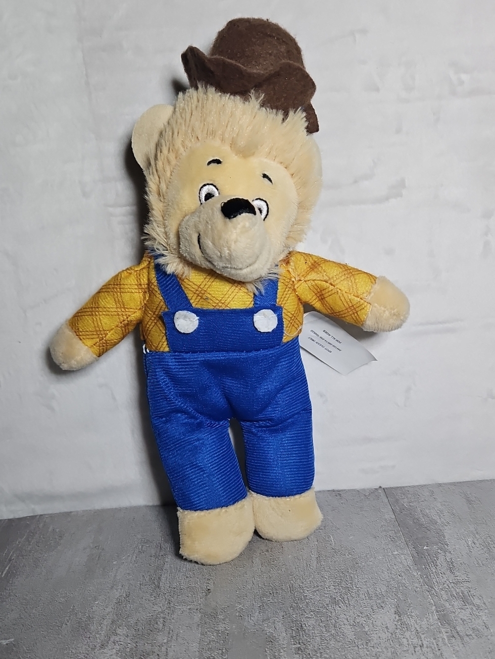 The Berenstain Bears Papa Bear Plush